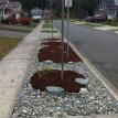 Drought tolerant landscaping