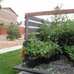Raingarden plants arrive:  10/21/2010 