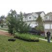Raingarden plants arrive:  10/21/2010 